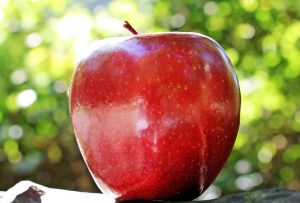 Son varios los pecados capitales que el autor debe evitar