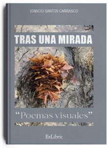 Tras una mirada, libro de poesía