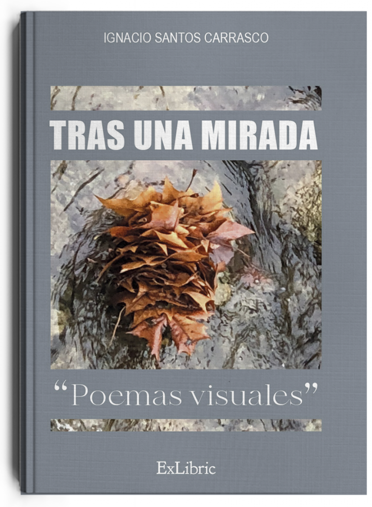 Tras una mirada, libro de poesía